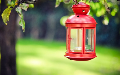 被蚊子咬的幽默句子(精选47句)