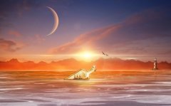 平淡低调的有内涵的网名(精选78个)