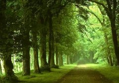 一句夸自己家乡的话(精选43句)