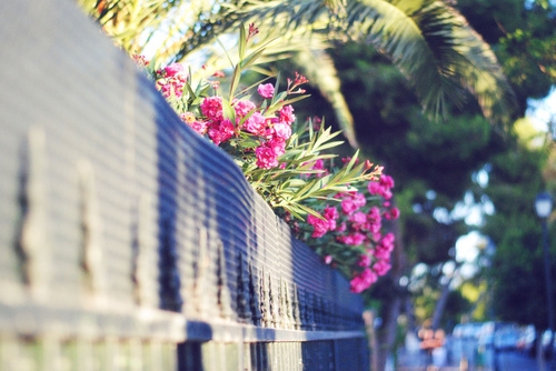 有文采最有意境的网名(精选73个)