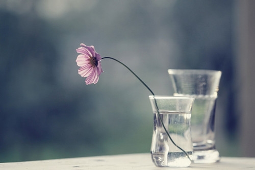 适合老板大气的网名(精选73个)