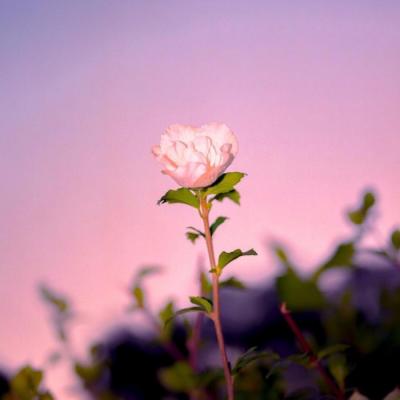 微信头像图片2023最新款男风景图