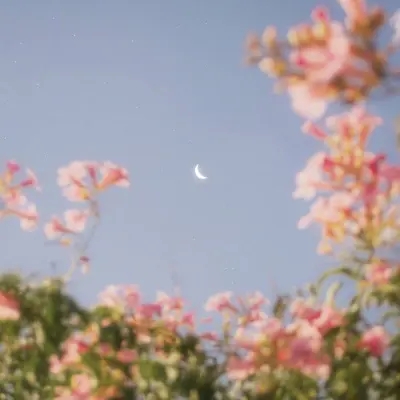 40岁女人高贵典雅微信头像(精选10张)