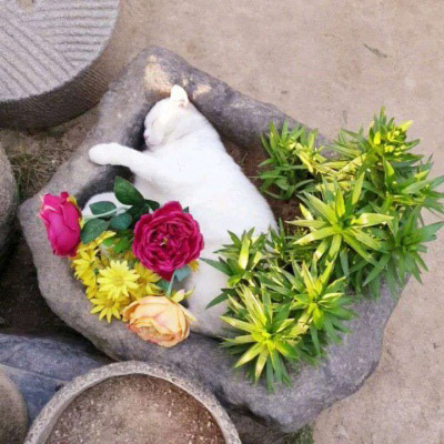 40岁女人高贵典雅微信头像(精选10张)