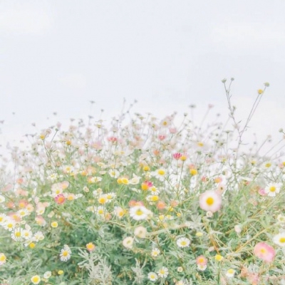 适合爷爷奶奶的微信头像图片(精选12张)