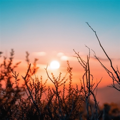 老年人头像微信头像男(精选12张)