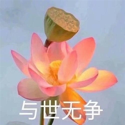 中老年微信头像花开富贵(精选10张)
