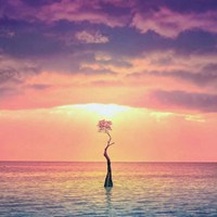 年纪大点的头像(精选10张)