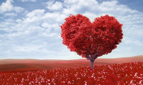 女婿祝丈人生日祝福语(精选30句)