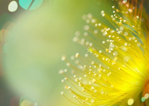 2023年最流行的昵称(精选82个)