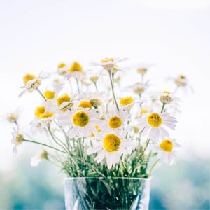 让自己强大自信的微信头像(精选12张)