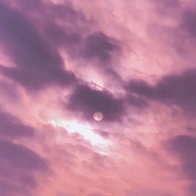 适合妈妈用的头像年轻大气(精选12张)