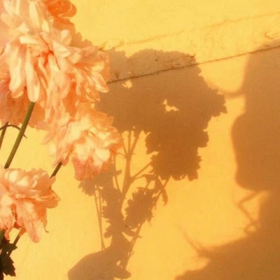 适合妈妈用的头像年轻大气(精选12张)