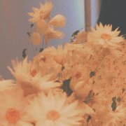 中年人抖音头像(精选12张)