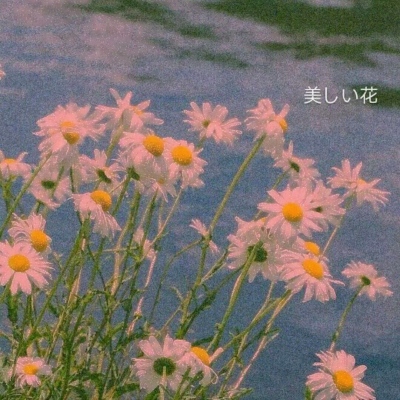 中年人抖音头像(精选12张)