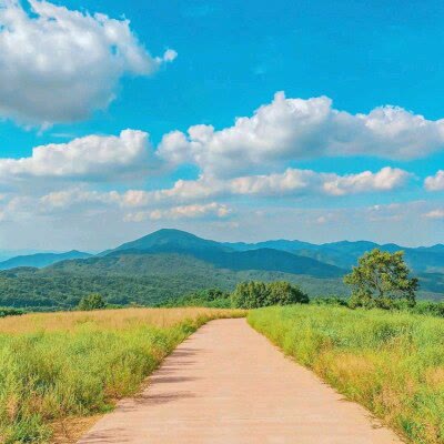 中年人抖音头像(精选12张)