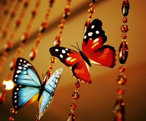 优雅大气的微信名字女两个字(精选71个)