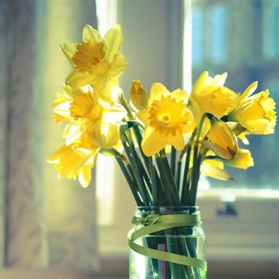 2023年最火头像图片(精选12张)