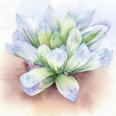 2023最漂亮的微信头像(精选10张)