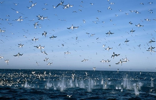 战胜疫情迎接美好的句子(48句)