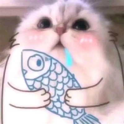 一看就很沙雕的头像(精选12张)