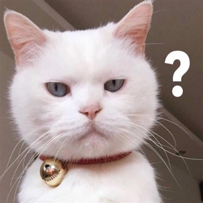 一看就很沙雕的头像(精选12张)