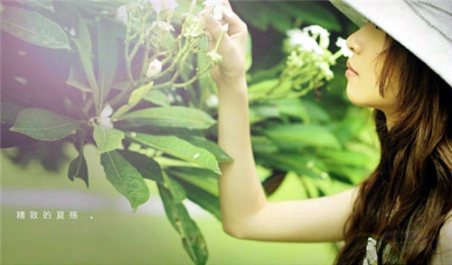 客户认可和信任的句子(44句)