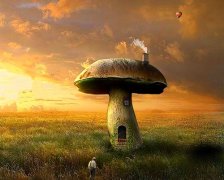 烟花爆竹注意安全标语怎么写(53句)