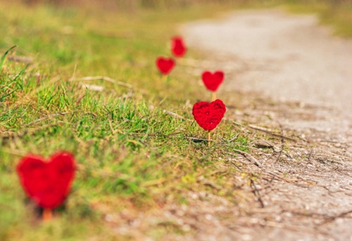 讲究卫生的标语幽默标语(56句)