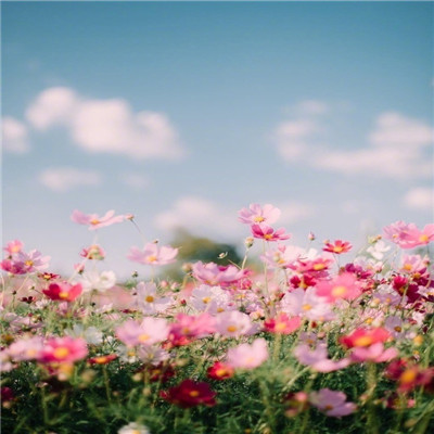 2023有寓意的微信头像(精选12张)