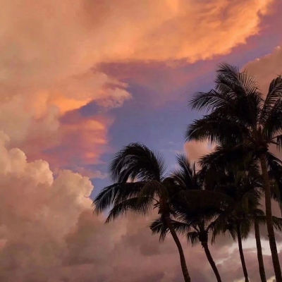 让人过目不忘的头像(精选12张)