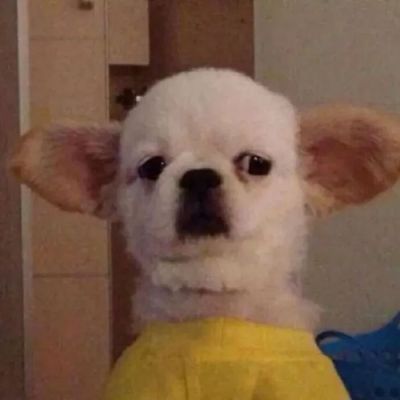 值得一辈子不换的头像搞笑(精选10张)