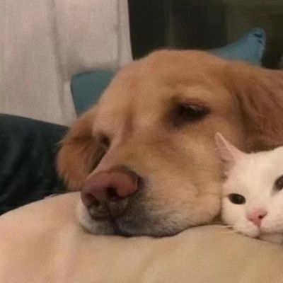 值得一辈子不换的头像搞笑(精选10张)