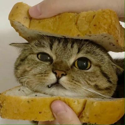 值得一辈子不换的头像搞笑(精选10张)