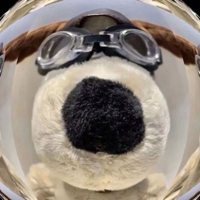 值得一辈子不换的头像搞笑(精选10张)