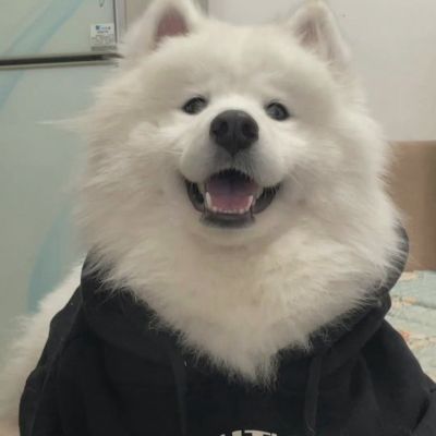 值得一辈子不换的头像搞笑(精选10张)