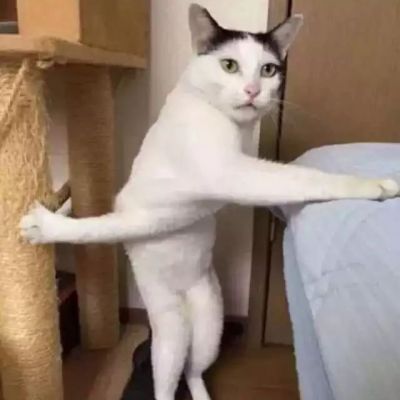 值得一辈子不换的头像搞笑(精选10张)