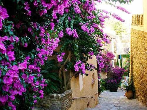 2023网名最新版的男生(60个)