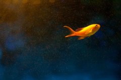 后悔没好好读书的感言句子(精选49句)