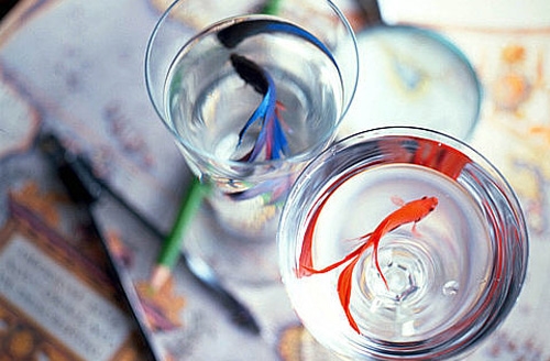 一切尽在不言中的说说(精选45句)