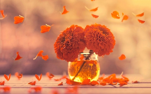 2021好听顺口的网名(58个)