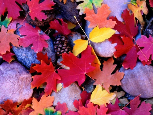 2022年最潮的微信网名(精选49个)