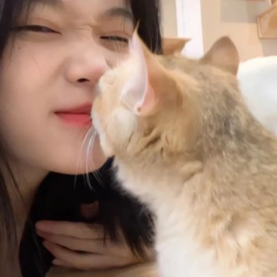 让人过目不忘的头像(精选12张)