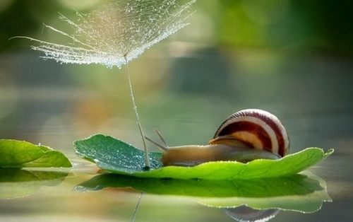 比较有内涵的两字网名(精选89个)