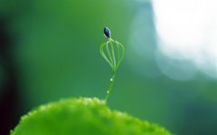 形容自己老了的搞笑句子(精选58句)