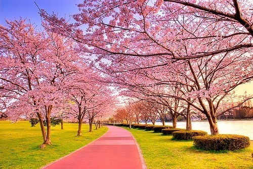 关于孝的名言警句有哪些(精选40句)