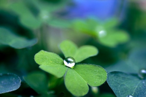 每个人都有自己的难处的句子(精选43句)