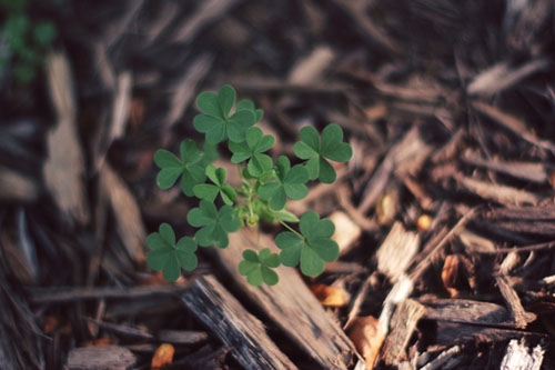 闲得发慌的说说(精选40句)