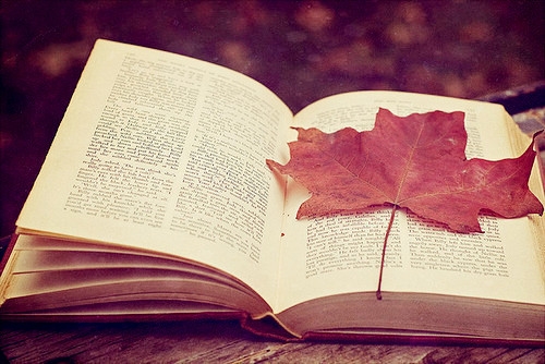 男生用的微信名字(精选54个) 男生用的微信名字(精选54个)