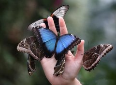 微信签名一句话霸气(56句)